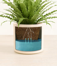 Load image into Gallery viewer, Cream stand:all