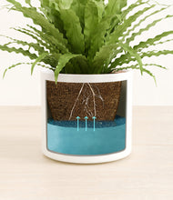 Load image into Gallery viewer, White stand:all