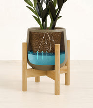 Load image into Gallery viewer, Olive stand:bamboo