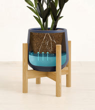 Load image into Gallery viewer, Deep Navy stand:bamboo