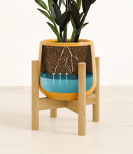 Load image into Gallery viewer, Mustard stand:bamboo