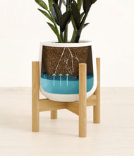 Load image into Gallery viewer, White stand:bamboo