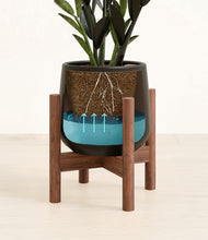 Load image into Gallery viewer, Black stand:walnut