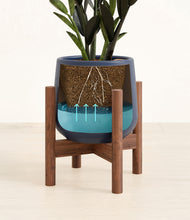 Load image into Gallery viewer, Deep Navy stand:walnut