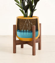 Load image into Gallery viewer, Mustard stand:walnut