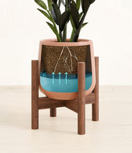 Load image into Gallery viewer, Calm Rose stand:walnut