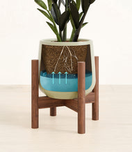 Load image into Gallery viewer, Turquoise stand:walnut