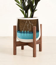 Load image into Gallery viewer, White stand:walnut