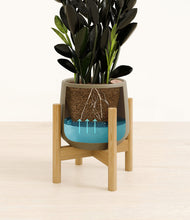 Load image into Gallery viewer, Olive stand:bamboo