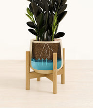 Load image into Gallery viewer, Almond Green stand:bamboo