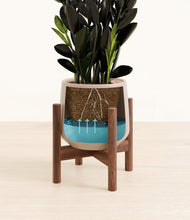 Load image into Gallery viewer, Eternal Gray stand:walnut