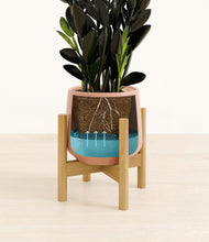 Load image into Gallery viewer, Calm Rose stand:bamboo