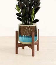 Load image into Gallery viewer, Turquoise stand:walnut