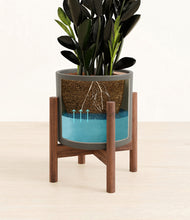 Load image into Gallery viewer, Dark Olive stand:walnut