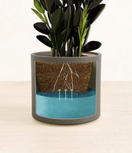 Load image into Gallery viewer, Dark Olive