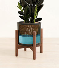 Load image into Gallery viewer, Black stand:walnut