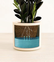 Load image into Gallery viewer, Cream