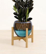 Load image into Gallery viewer, Deep Navy stand:bamboo