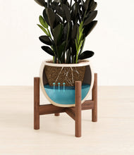 Load image into Gallery viewer, Shiny EggWhite stand:walnut