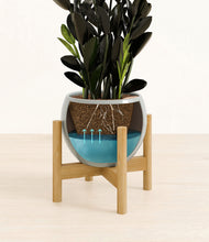 Load image into Gallery viewer, Deep Ocean stand:bamboo