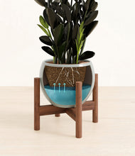 Load image into Gallery viewer, Deep Ocean stand:walnut