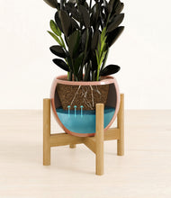 Load image into Gallery viewer, Calm Rose stand:bamboo