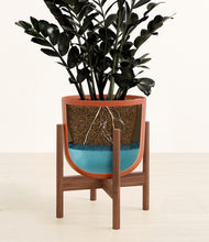 Load image into Gallery viewer, Earth Red stand:walnut