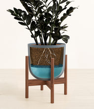 Load image into Gallery viewer, Iron Gray stand:walnut