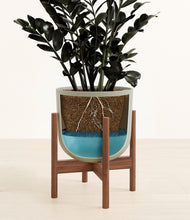 Load image into Gallery viewer, Sage Green stand:walnut