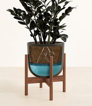 Load image into Gallery viewer, Stone Black stand:walnut