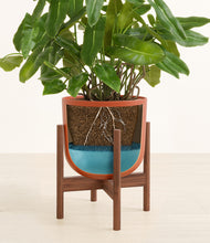 Load image into Gallery viewer, Earth Red stand:walnut
