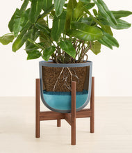 Load image into Gallery viewer, Iron Gray stand:walnut