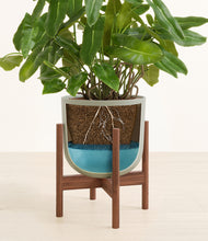 Load image into Gallery viewer, Sage Green stand:walnut