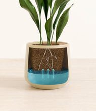 Load image into Gallery viewer, Almond Green