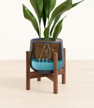 Load image into Gallery viewer, Deep Navy stand:walnut