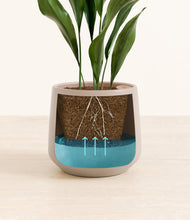 Load image into Gallery viewer, Eternal Gray