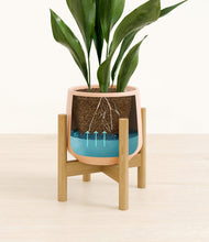 Load image into Gallery viewer, Gentle Pink stand:bamboo