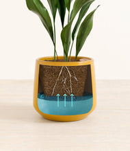 Load image into Gallery viewer, Mustard