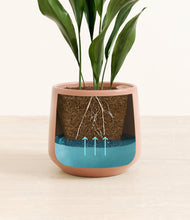 Load image into Gallery viewer, Calm Rose