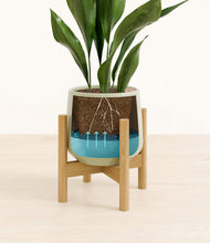 Load image into Gallery viewer, Turquoise stand:bamboo