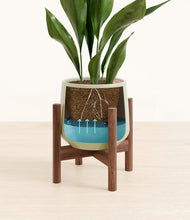 Load image into Gallery viewer, Turquoise stand:walnut