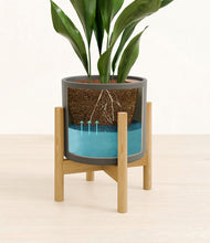 Load image into Gallery viewer, Dark Olive stand:bamboo