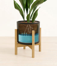 Load image into Gallery viewer, Black stand:bamboo