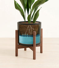 Load image into Gallery viewer, Black stand:walnut