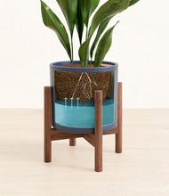 Load image into Gallery viewer, Deep Navy stand:walnut