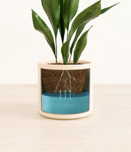 Load image into Gallery viewer, Cream