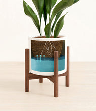 Load image into Gallery viewer, White stand:walnut