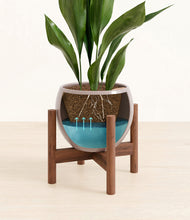 Load image into Gallery viewer, Winter Clouds stand:walnut