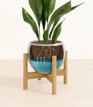 Load image into Gallery viewer, Deep Ocean stand:bamboo