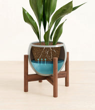 Load image into Gallery viewer, Deep Ocean stand:walnut